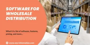 computer software developer for wholesale business